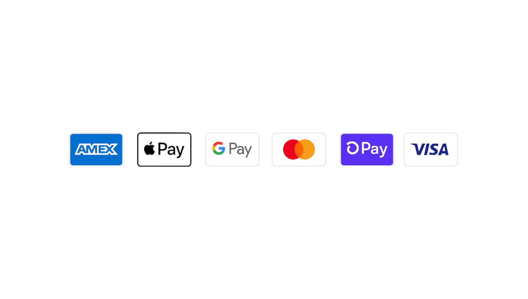 payment icons in launch demo footer (1)